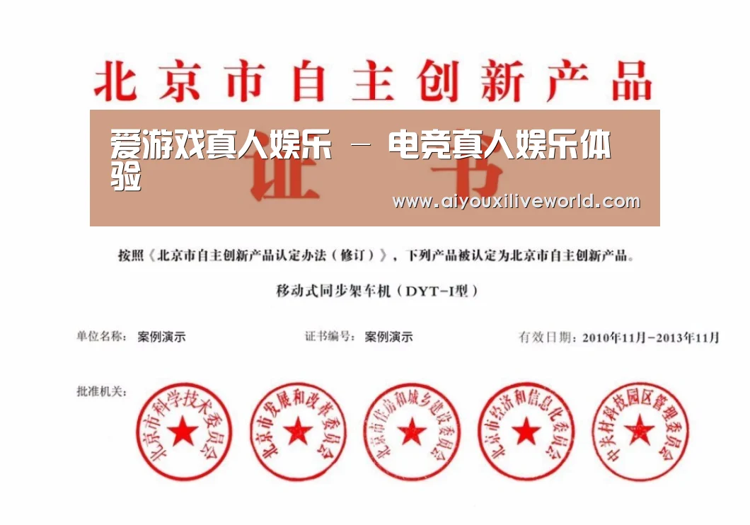 爱游戏下载荣誉证书四(图1)