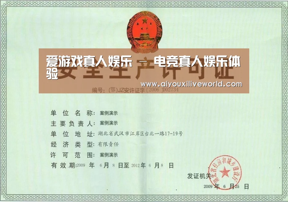 爱游戏下载荣誉证书三