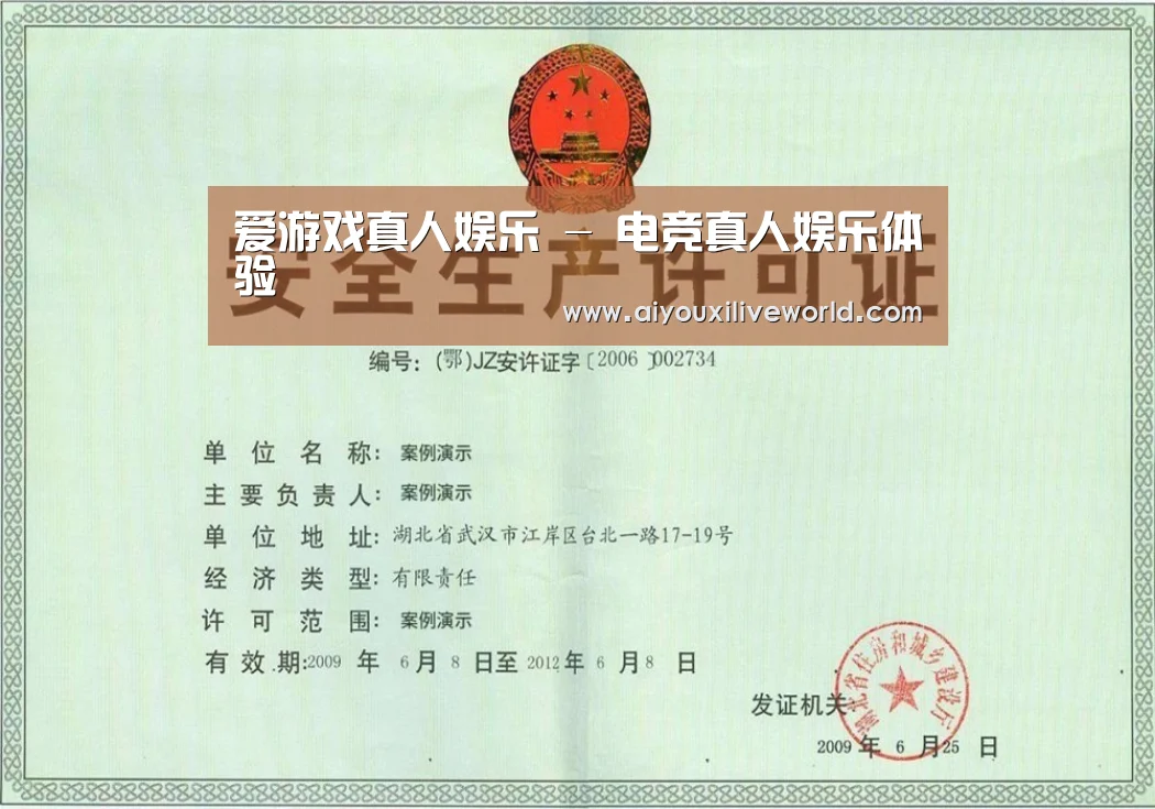 爱游戏下载荣誉证书三(图1)
