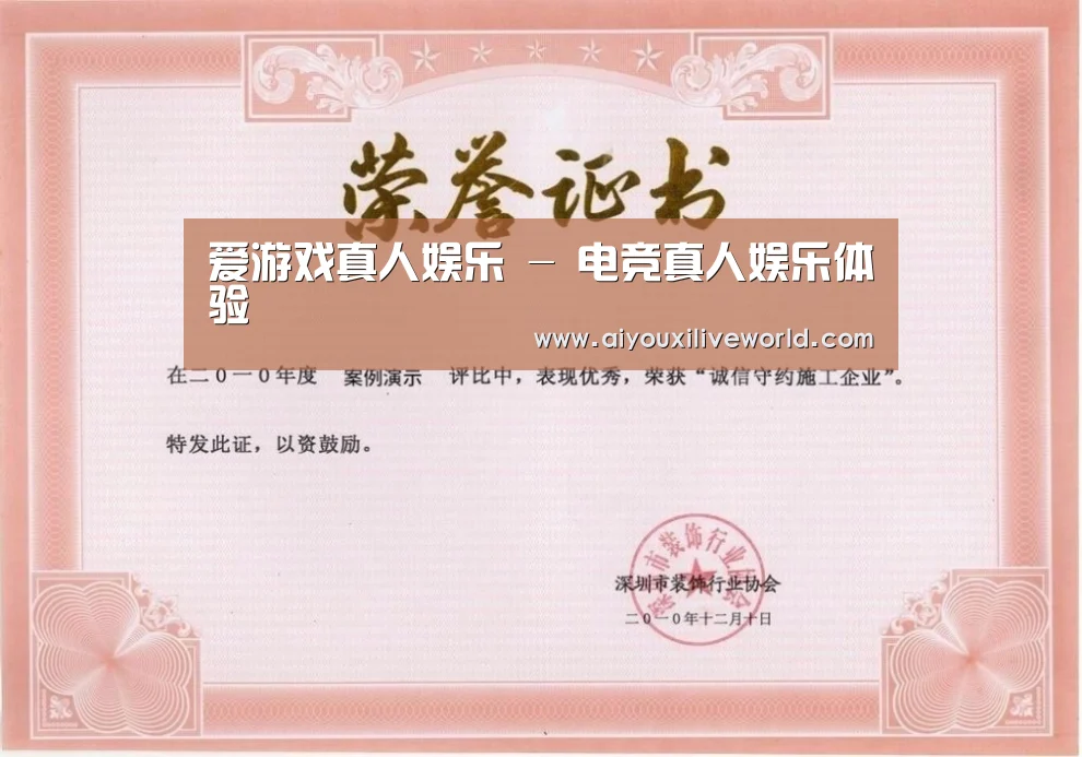 爱游戏下载荣誉证书一(图1)