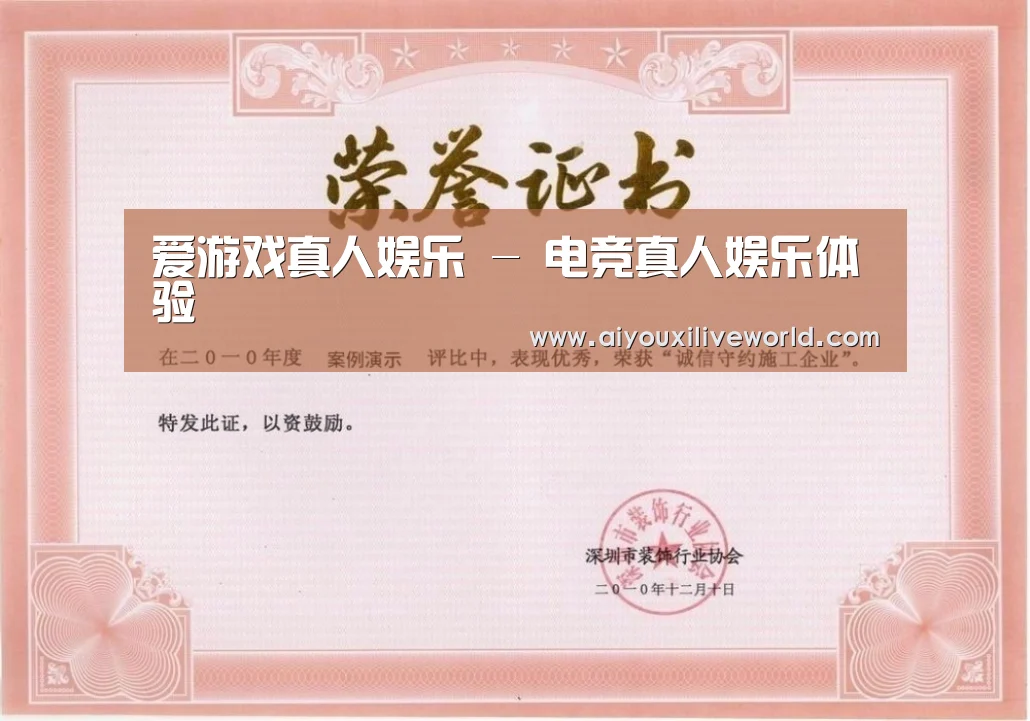 爱游戏下载荣誉证书一