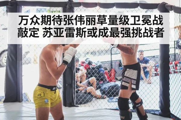 MMA fight cage