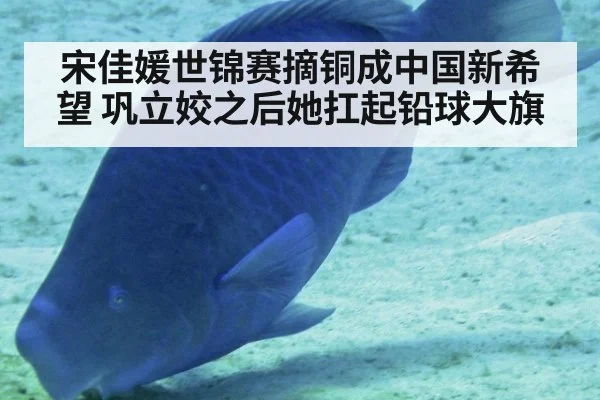 宋佳媛世锦赛摘铜成中国新希望 巩立姣之后她扛起铅球大旗