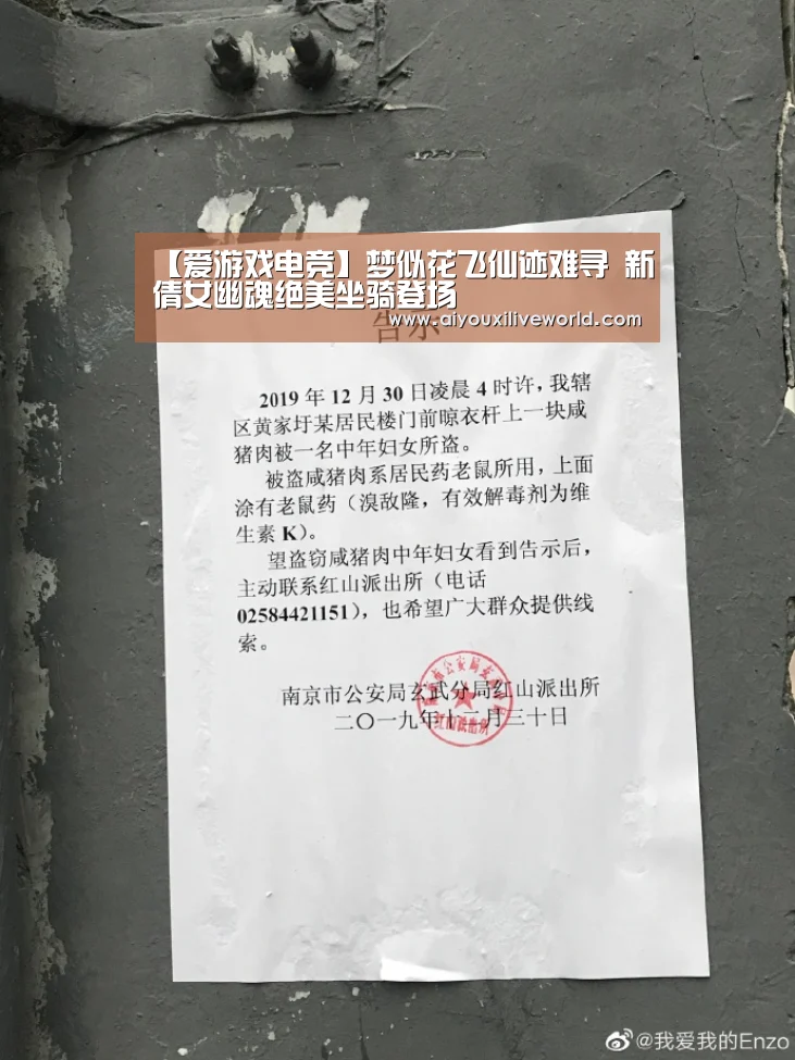 爱游戏下载