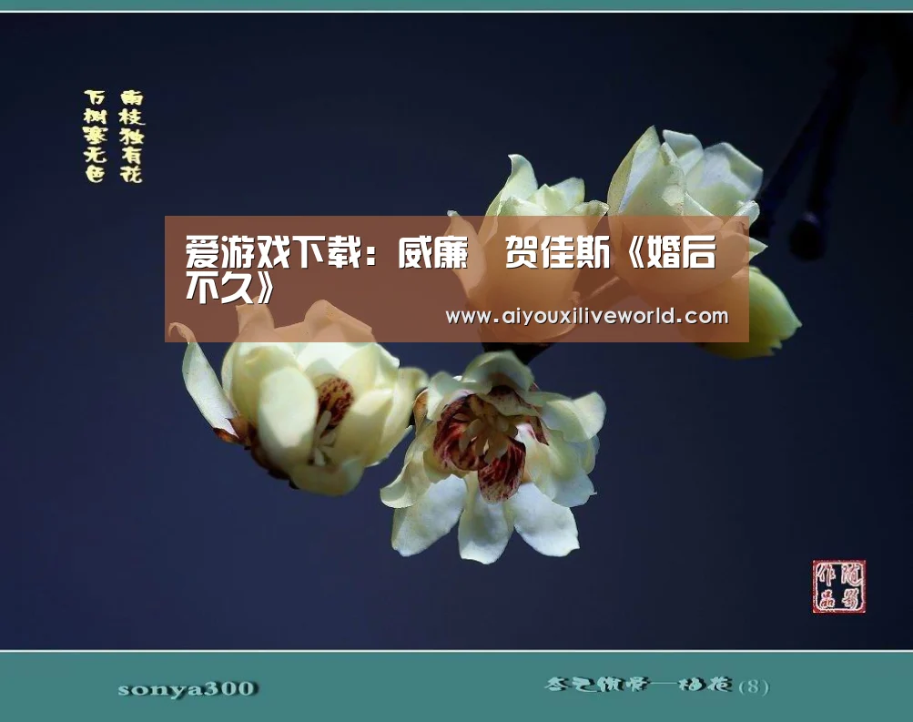 爱游戏下载